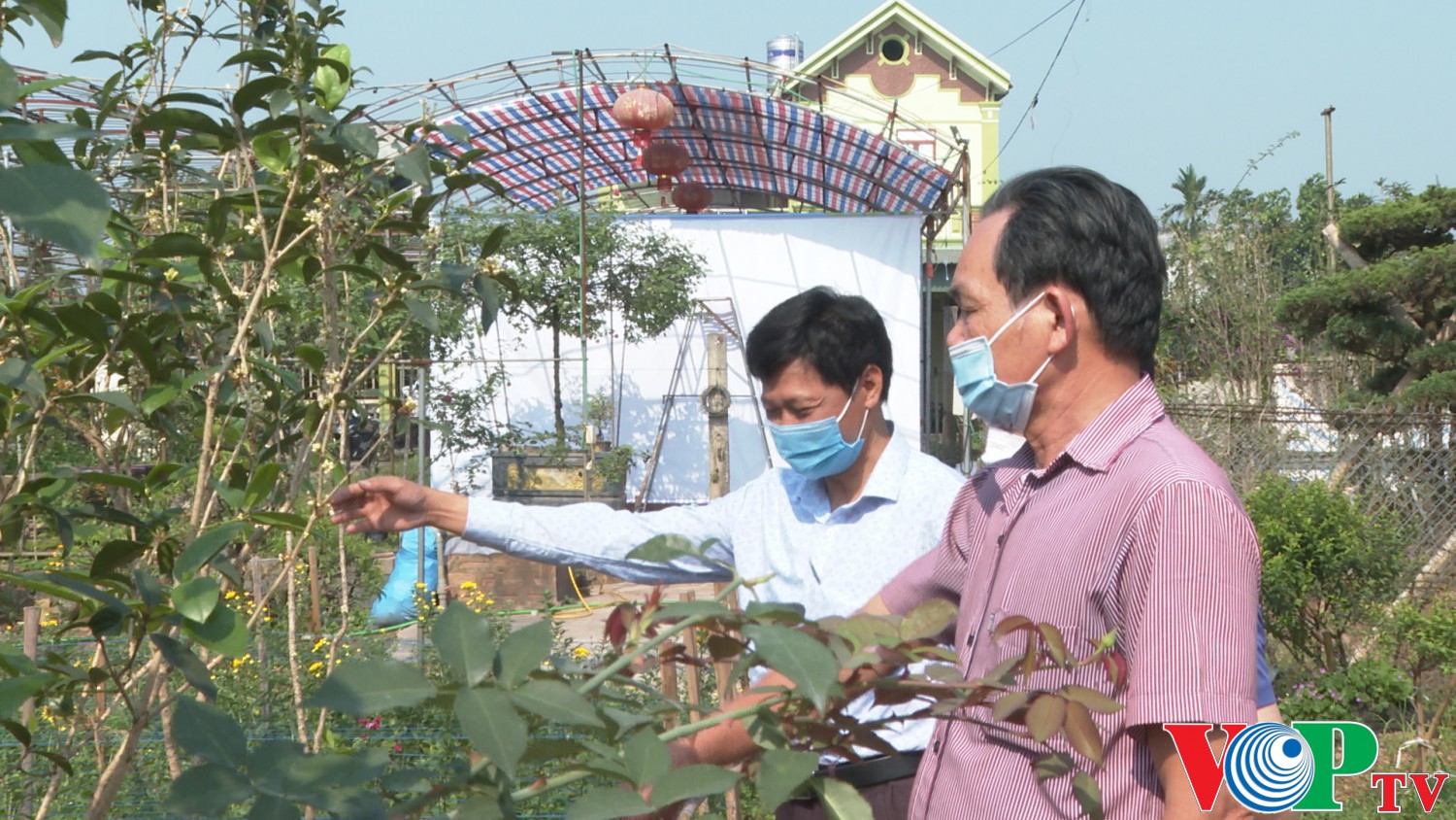 Hội Nông Dân xã Phù Vân ra mắt mô hình “Nhà vườn kiểu mẫu”.