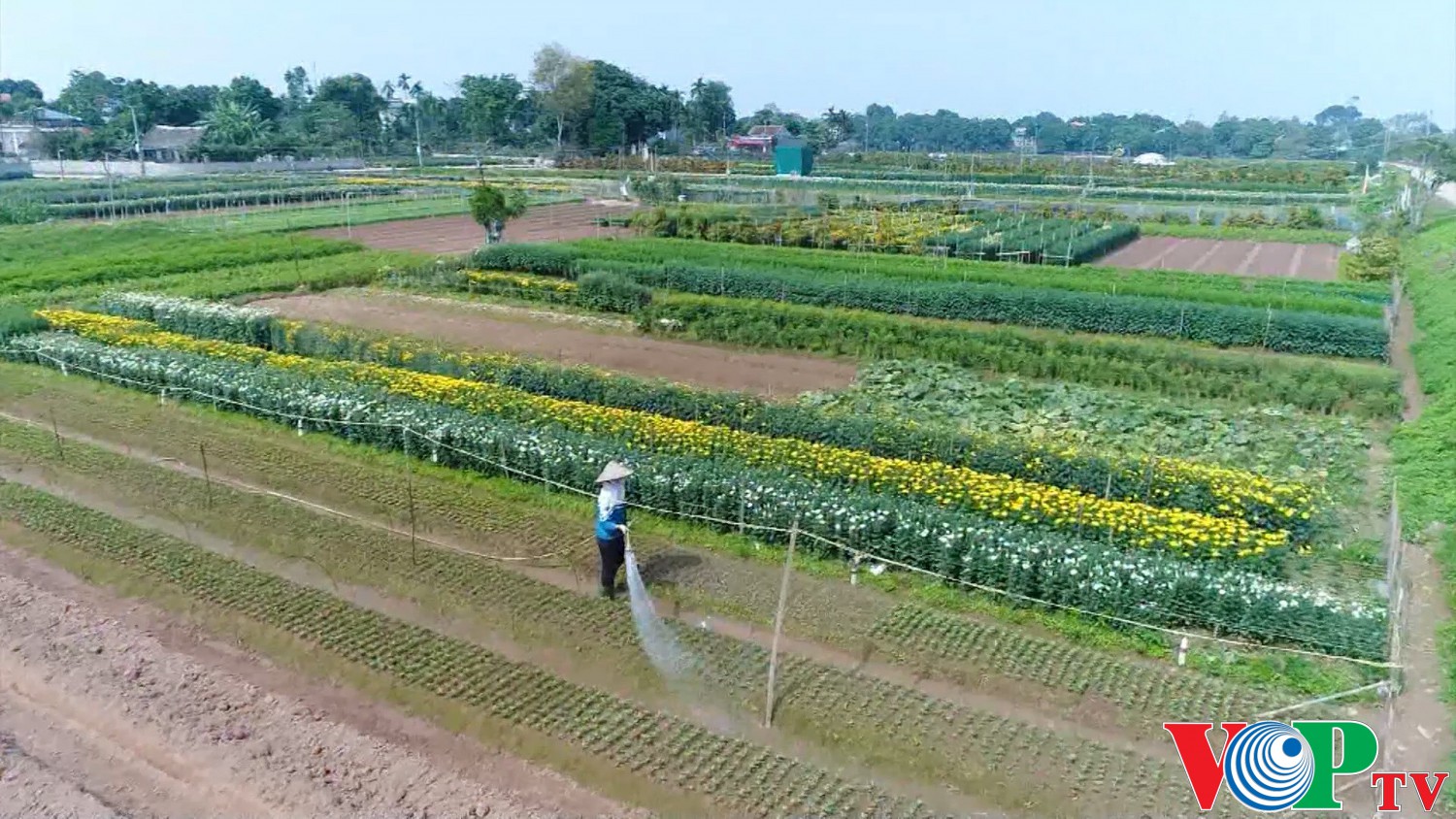 Phát huy vai trò của Hội nông dân Thành phố Phủ Lý trong xây dựng NTM nâng cao, NTM kiểu mẫu