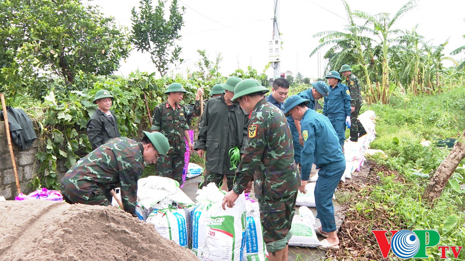 Ban CHQS TP huy động lực lượng tham gia hộ đê tại Thôn 2 và thôn 3 xã Phù Vân