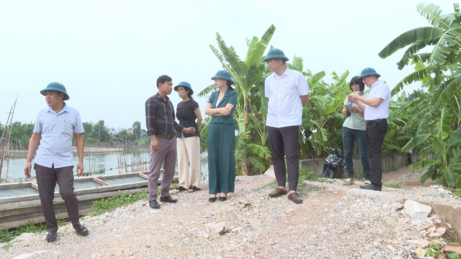 tin 00 05 04 33 Still496